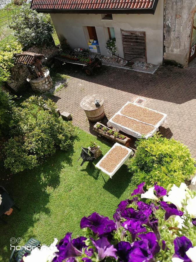 Agriturismo Antica Pieve Limana Eksteriør billede